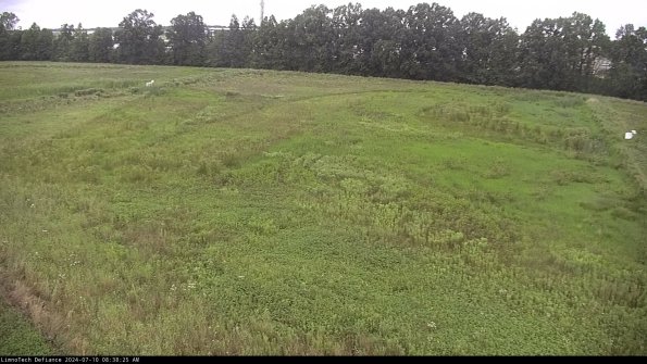 Cell 3_24-07-10_08-38-26-39