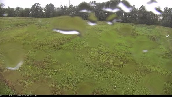 Cell 3_24-07-10_12-21-01-35