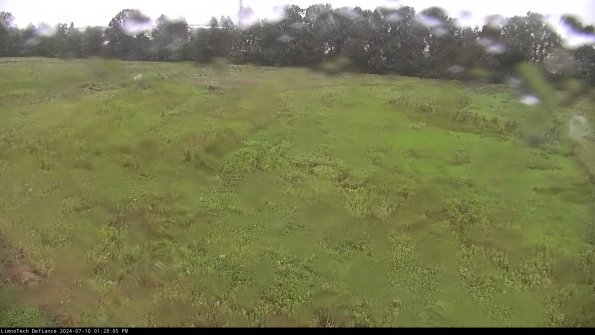 Cell 3_24-07-10_13-28-06-33