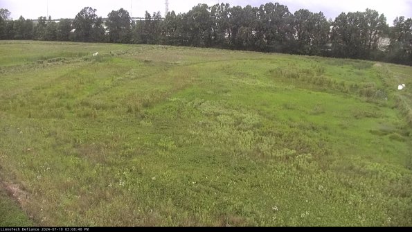 Cell 3_24-07-10_15-08-41-33