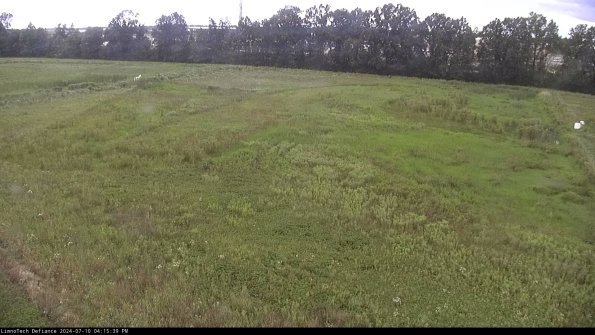 Cell 3_24-07-10_16-15-40-31