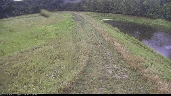 Cell 4 to Basin_24-07-10_11-48-27-32