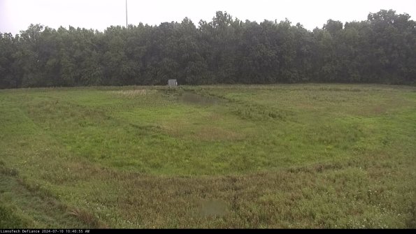 Cell 4_24-07-10_10-40-56-32