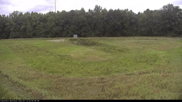 Cell 4_24-07-10_15-09-09-33