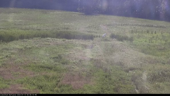 Cell 1 to 2_24-07-13_18-30-15-34