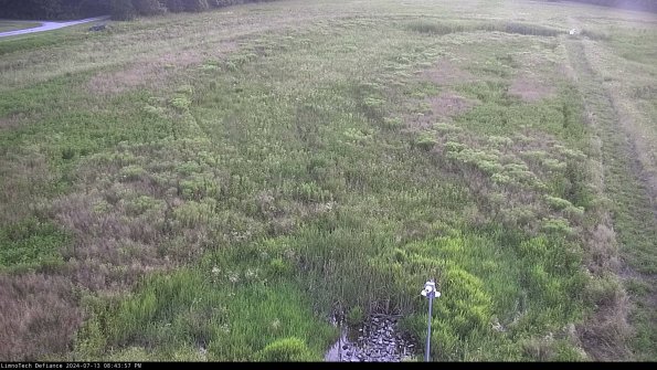 Cell 1_24-07-13_20-43-58-33