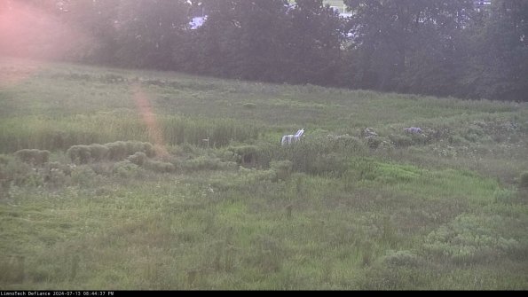 Cell 2 to 3_24-07-13_20-44-38-44