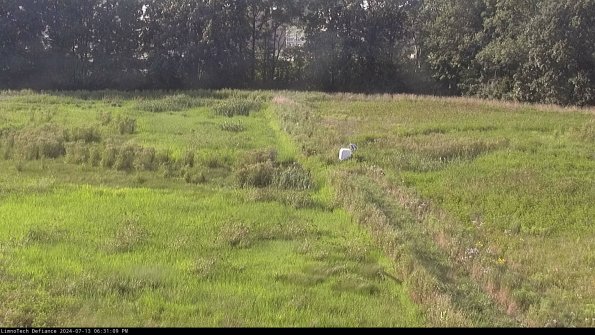 Cell 3 to 4_24-07-13_18-31-10-33