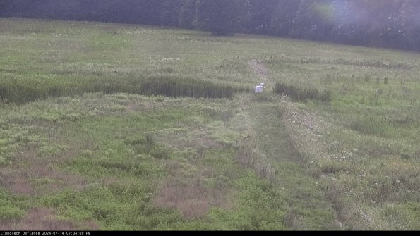 Cell 1 to 2_24-07-14_19-04-01-34