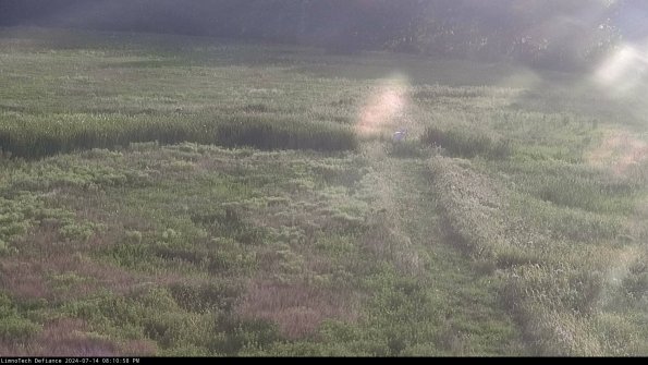 Cell 1 to 2_24-07-14_20-10-59-34