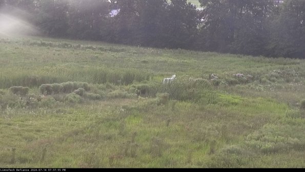 Cell 2 to 3_24-07-14_19-37-55-51