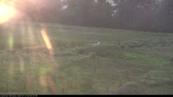 Cell 2 to 3_24-07-14_20-44-54-55