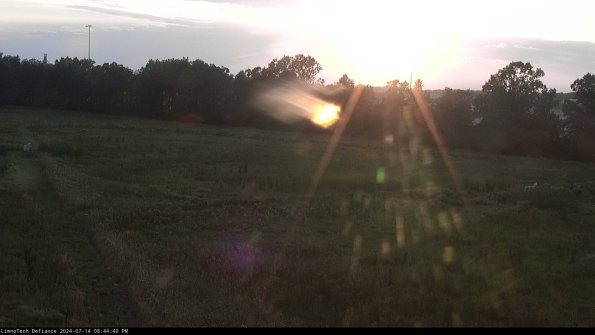 Cell 2_24-07-14_20-44-41-41