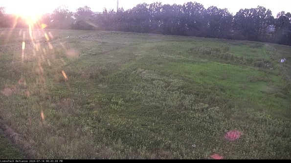 Cell 3_24-07-14_20-45-09-34