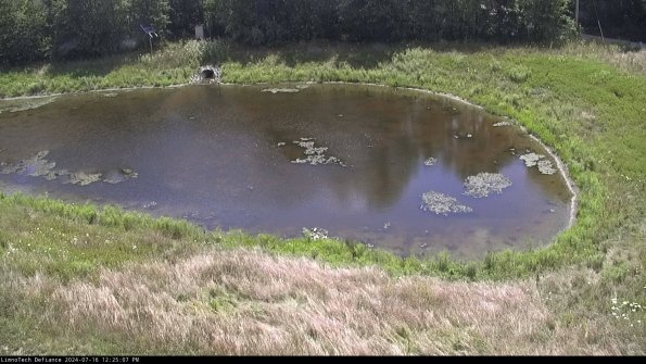 Basin Right_24-07-16_12-25-08-32