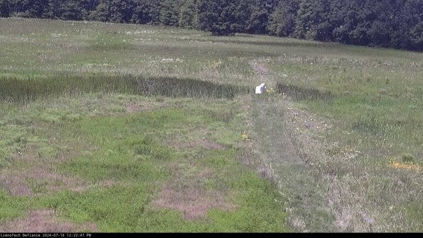 Cell 1 to 2_24-07-16_12-22-48-32