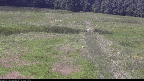 Cell 1 to 2_24-07-16_14-03-15-34