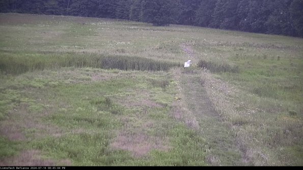 Cell 1 to 2_24-07-16_20-45-05-34