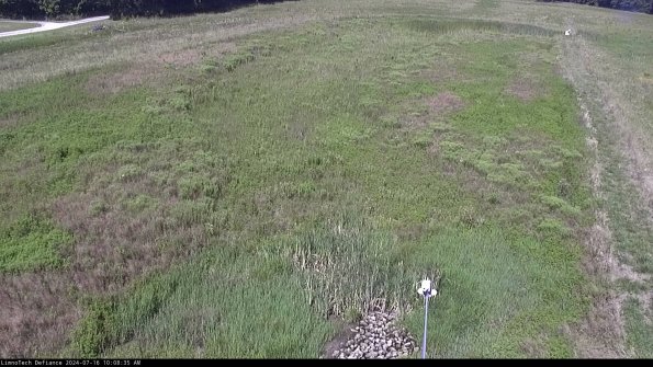 Cell 1_24-07-16_10-08-36-36