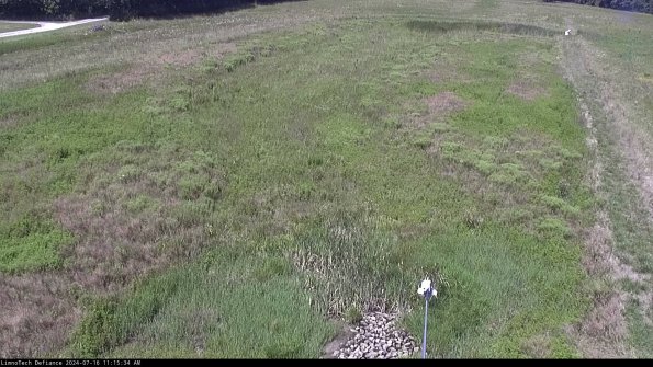 Cell 1_24-07-16_11-15-35-33