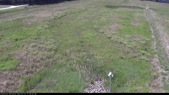 Cell 1_24-07-16_11-49-04-32