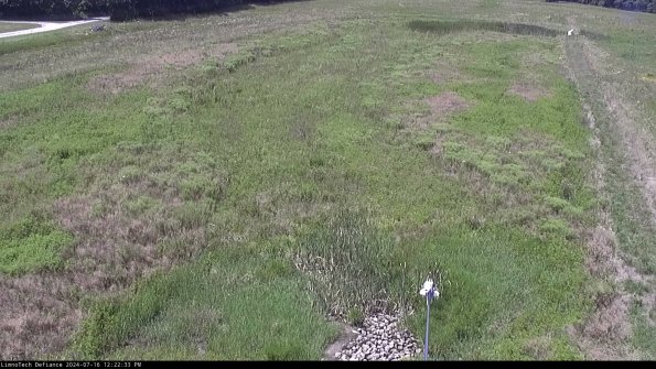 Cell 1_24-07-16_12-22-34-34