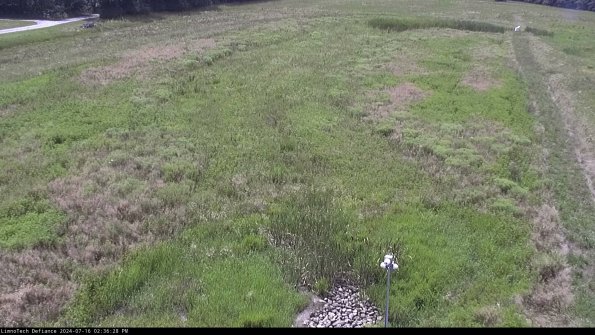 Cell 1_24-07-16_14-36-29-34