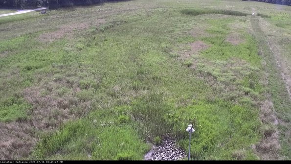 Cell 1_24-07-16_15-43-28-35