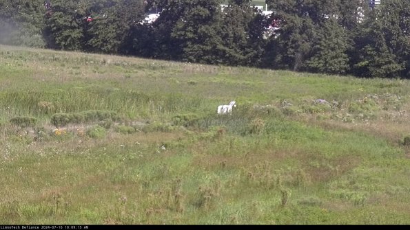 Cell 2 to 3_24-07-16_10-09-16-43