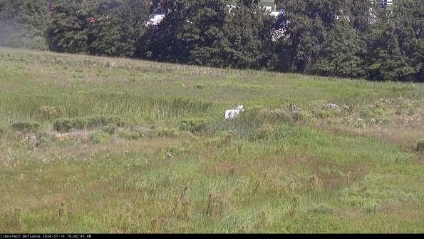 Cell 2 to 3_24-07-16_10-42-46-48