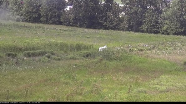 Cell 2 to 3_24-07-16_14-03-41-37