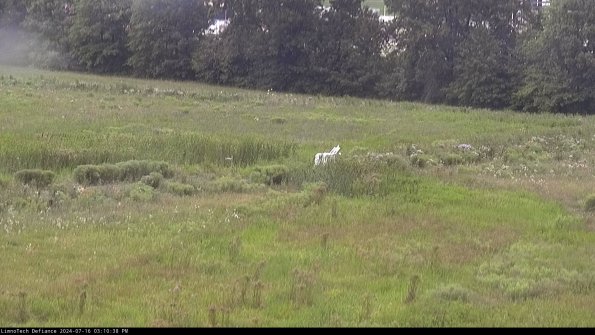 Cell 2 to 3_24-07-16_15-10-39-44