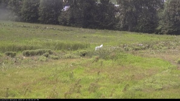 Cell 2 to 3_24-07-16_15-44-08-42