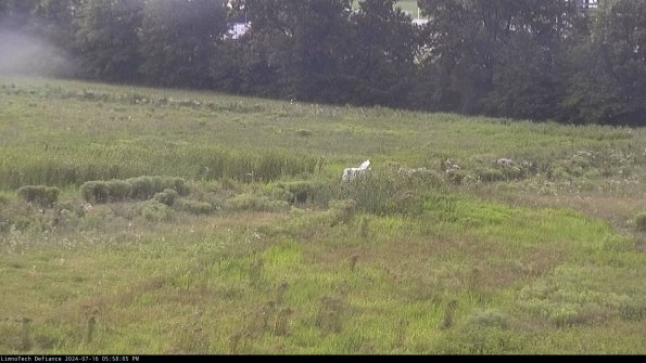 Cell 2 to 3_24-07-16_17-58-05-43