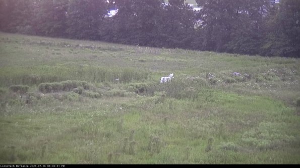 Cell 2 to 3_24-07-16_20-45-31-50