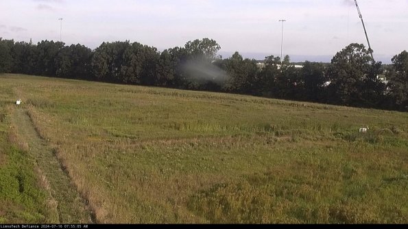 Cell 2_24-07-16_07-55-06-36