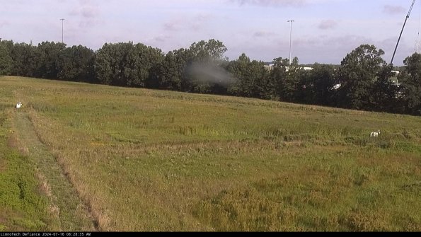 Cell 2_24-07-16_08-28-36-39