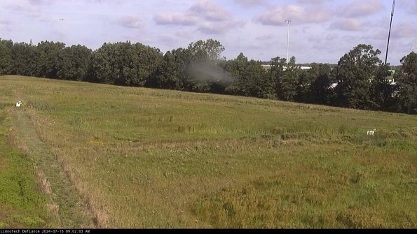 Cell 2_24-07-16_09-02-04-37