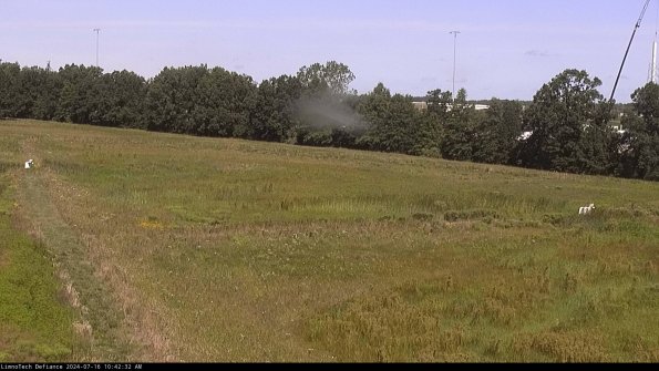 Cell 2_24-07-16_10-42-33-37