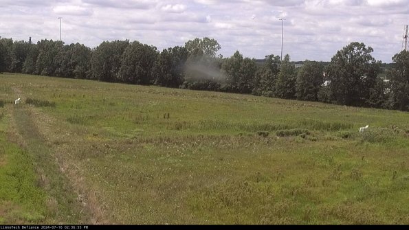 Cell 2_24-07-16_14-36-56-37