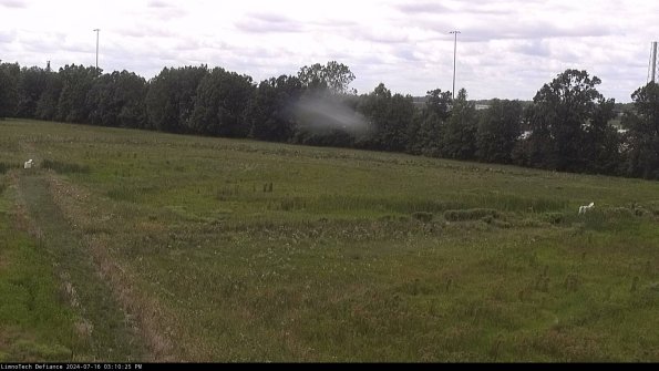 Cell 2_24-07-16_15-10-26-36