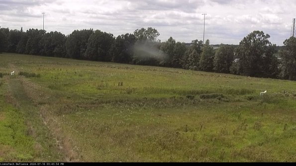 Cell 2_24-07-16_15-43-55-38