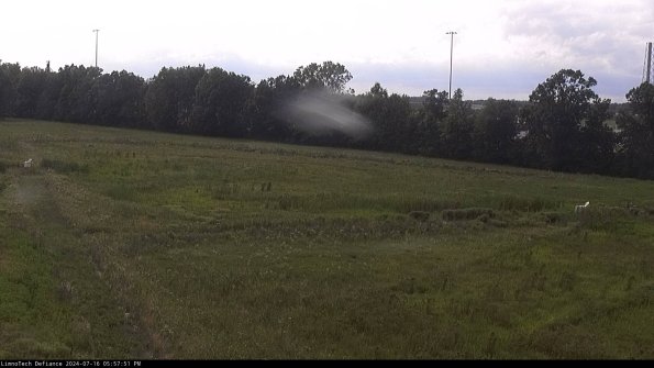 Cell 2_24-07-16_17-57-52-35