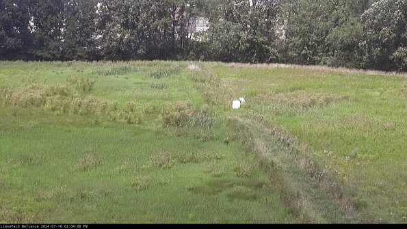 Cell 3 to 4_24-07-16_14-04-09-33