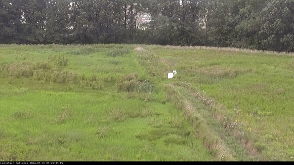 Cell 3 to 4_24-07-16_17-25-04-34