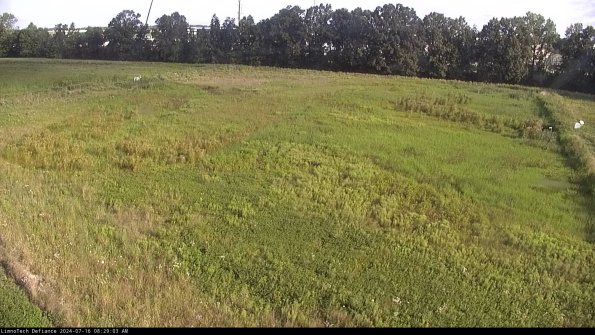 Cell 3_24-07-16_08-29-03-58