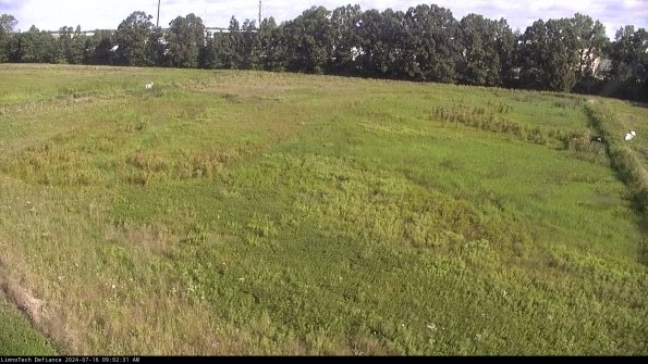 Cell 3_24-07-16_09-02-32-33