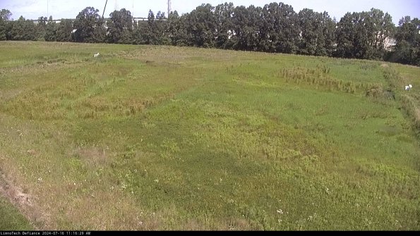 Cell 3_24-07-16_11-16-30-32