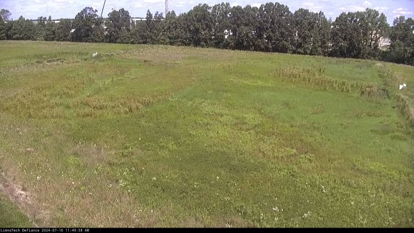 Cell 3_24-07-16_11-49-59-34