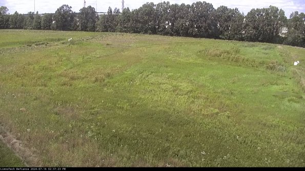 Cell 3_24-07-16_14-37-24-33